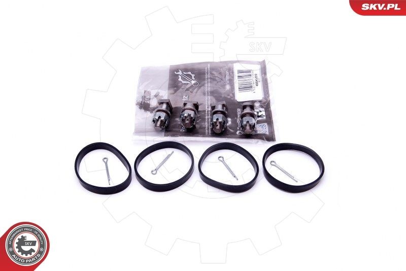 ESEN SKV Repair Kit, intake manifold module Article number: 49SKV518 cheaply