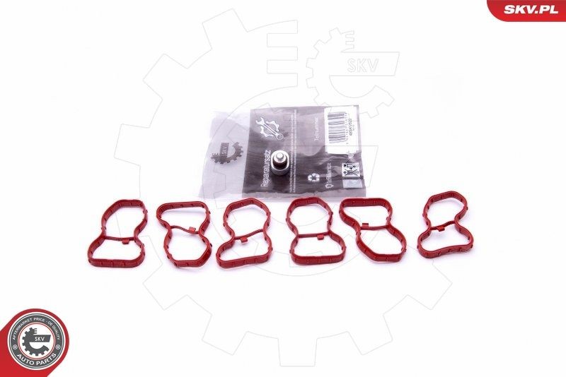 ESEN SKV Repair Kit, intake manifold module Article number: 49SKV522 cheaply