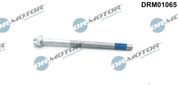 DR.MOTOR AUTOMOTIVE Screw, injection nozzle holder Article number: DRM01065 cheaply