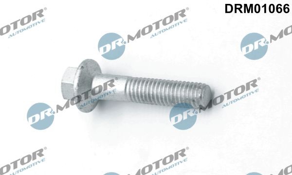 DR.MOTOR AUTOMOTIVE Screw, injection nozzle holder Article number: DRM01066 cheaply