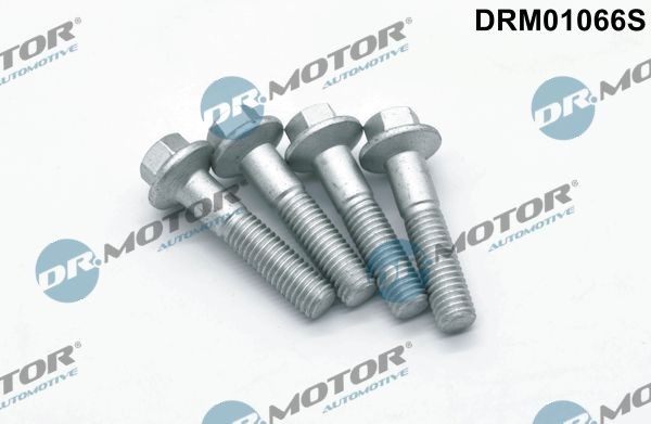 DR.MOTOR AUTOMOTIVE Screw, injection nozzle holder Article number: DRM01066S cheaply
