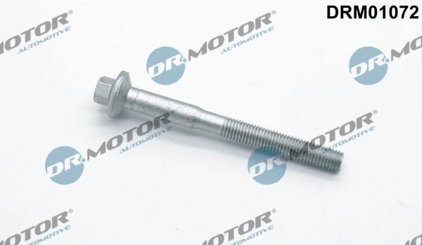 DR.MOTOR AUTOMOTIVE DRM01072 Kruvi, sissepritsedüüsi kinnitus TRANSIT CUSTOM 2.2 TDCi 100 HP Diisel