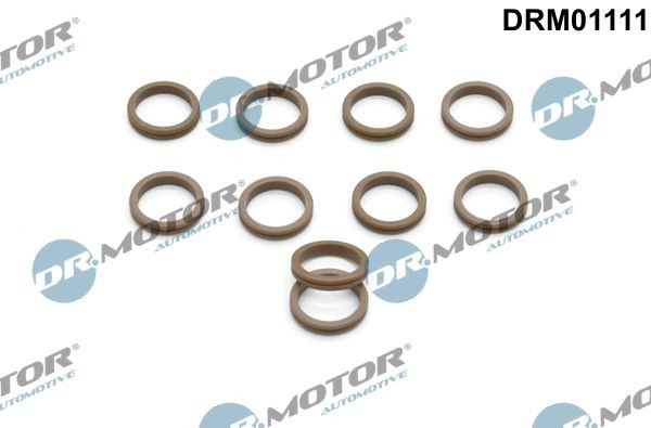 DR.MOTOR AUTOMOTIVE DRM01111 Reperationssæt, klimaanlæg C5 3.0 V6 207 HK Benzin 2004