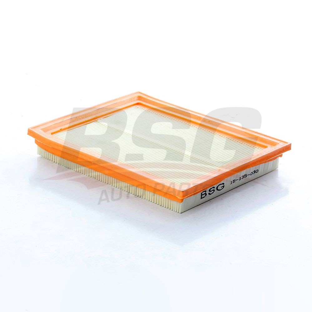 BSG Luftfilter Varenummer: BSG 15-135-030 billige