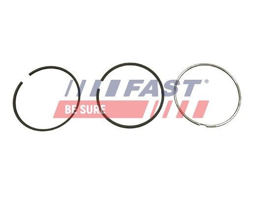 FAST Piston Ring Kit Article number: FT47387/0 cheaply