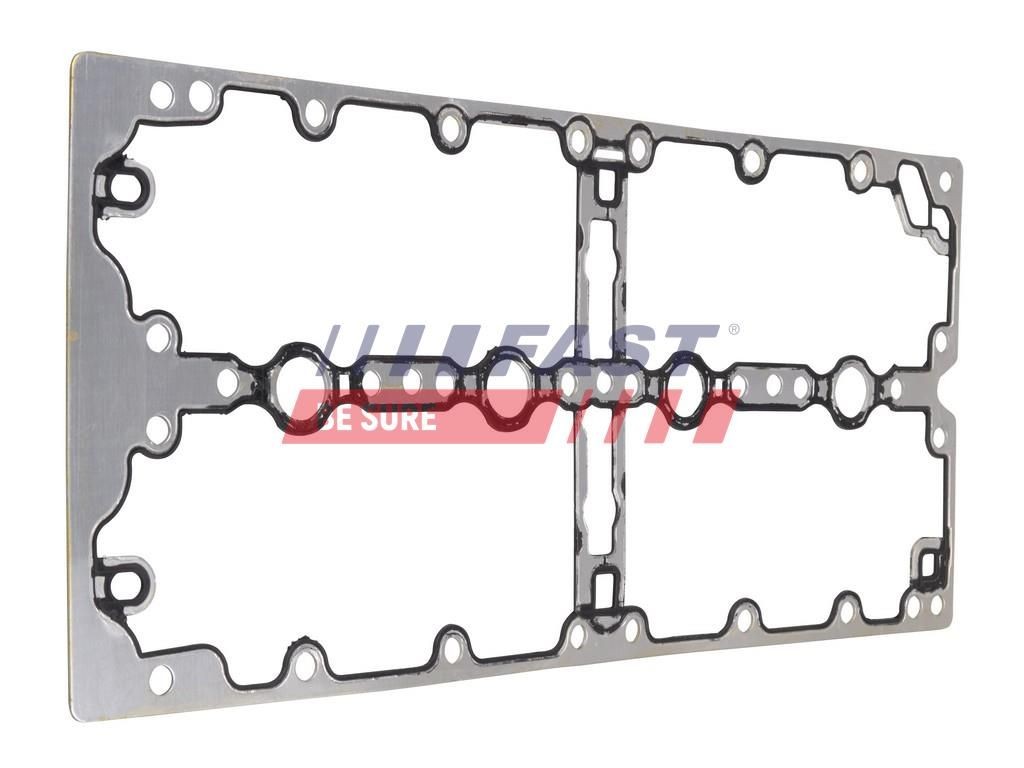 FAST Timing cover gasket Article number: FT49064 cheaply