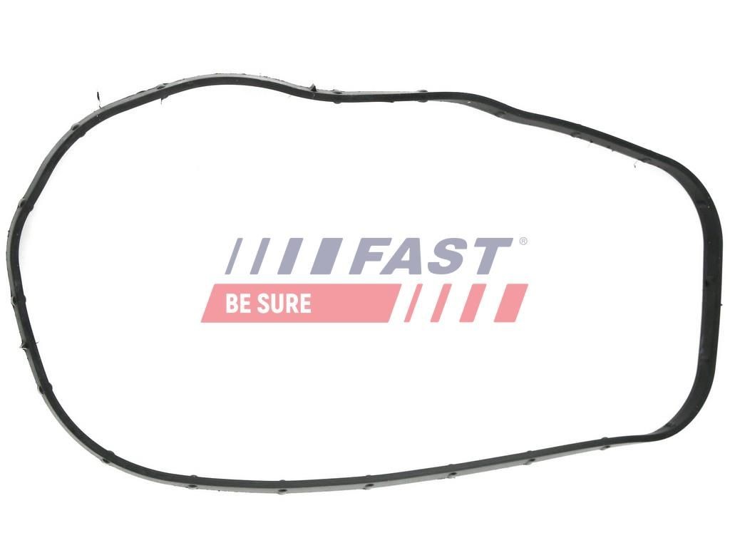 FAST Timing cover gasket Article number: FT49065 cheaply