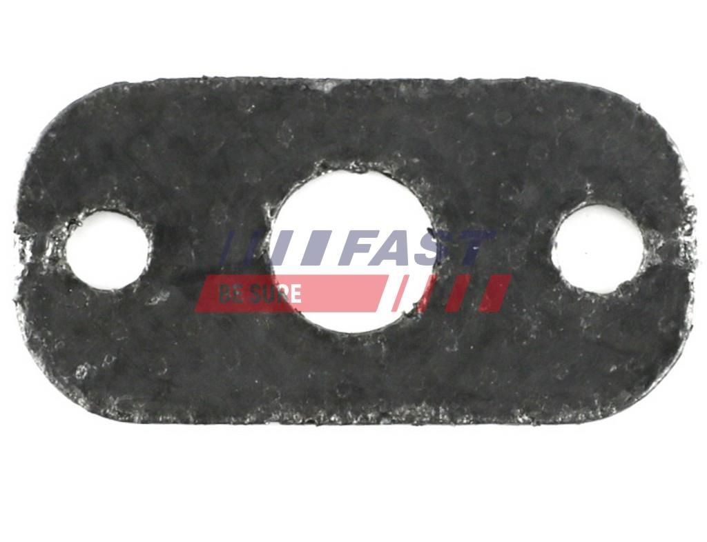 FAST Inlet manifold gasket Article number: FT49425 cheaply