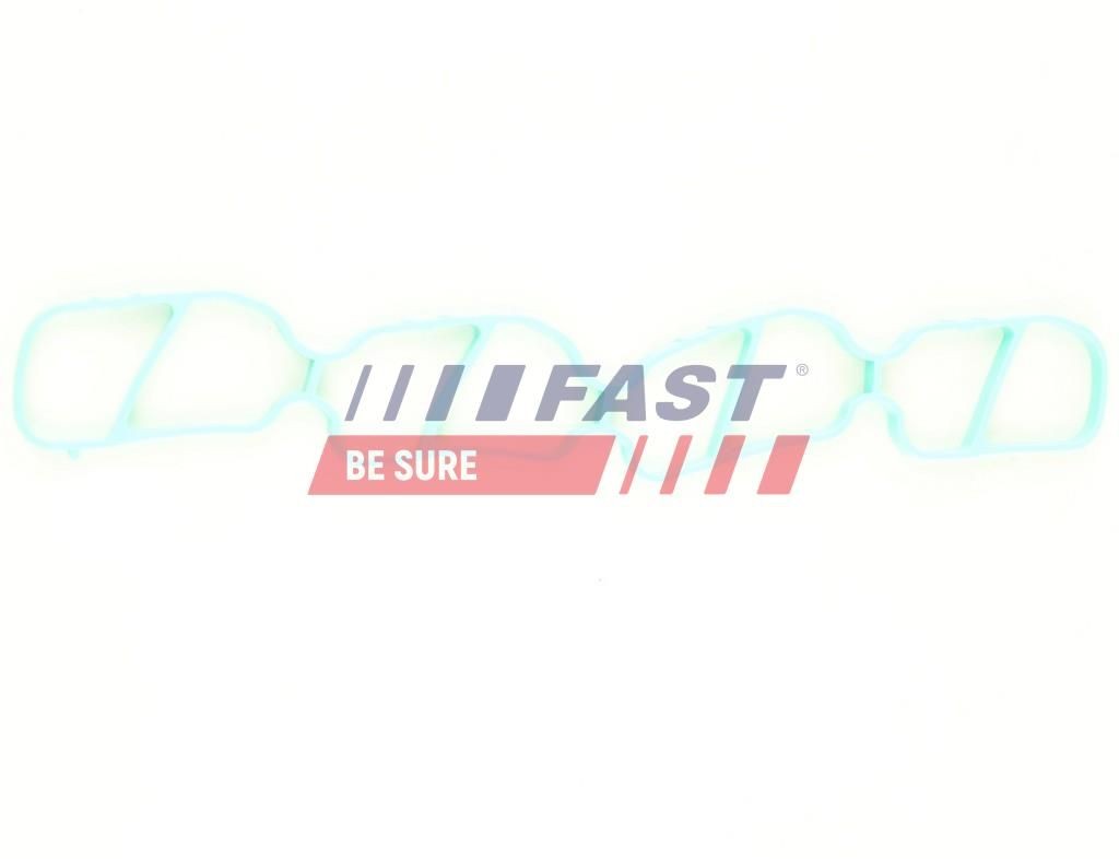 FAST Inlet manifold gasket Article number: FT49436 cheaply