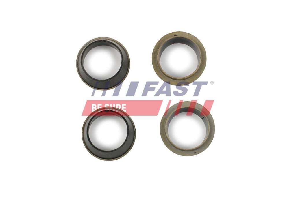 FAST Seal, injector shaft Article number: FT49843 cheaply