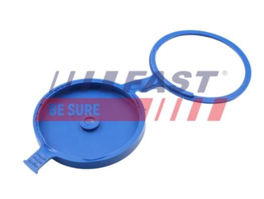 FAST FT94731 Sealing Cap, washer fluid tank SCUDO 2.0 JTD 94 PS Diesel 2006