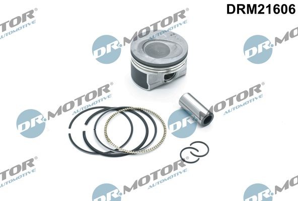 DR.MOTOR AUTOMOTIVE Stempel Varenummer: DRM21606 billige