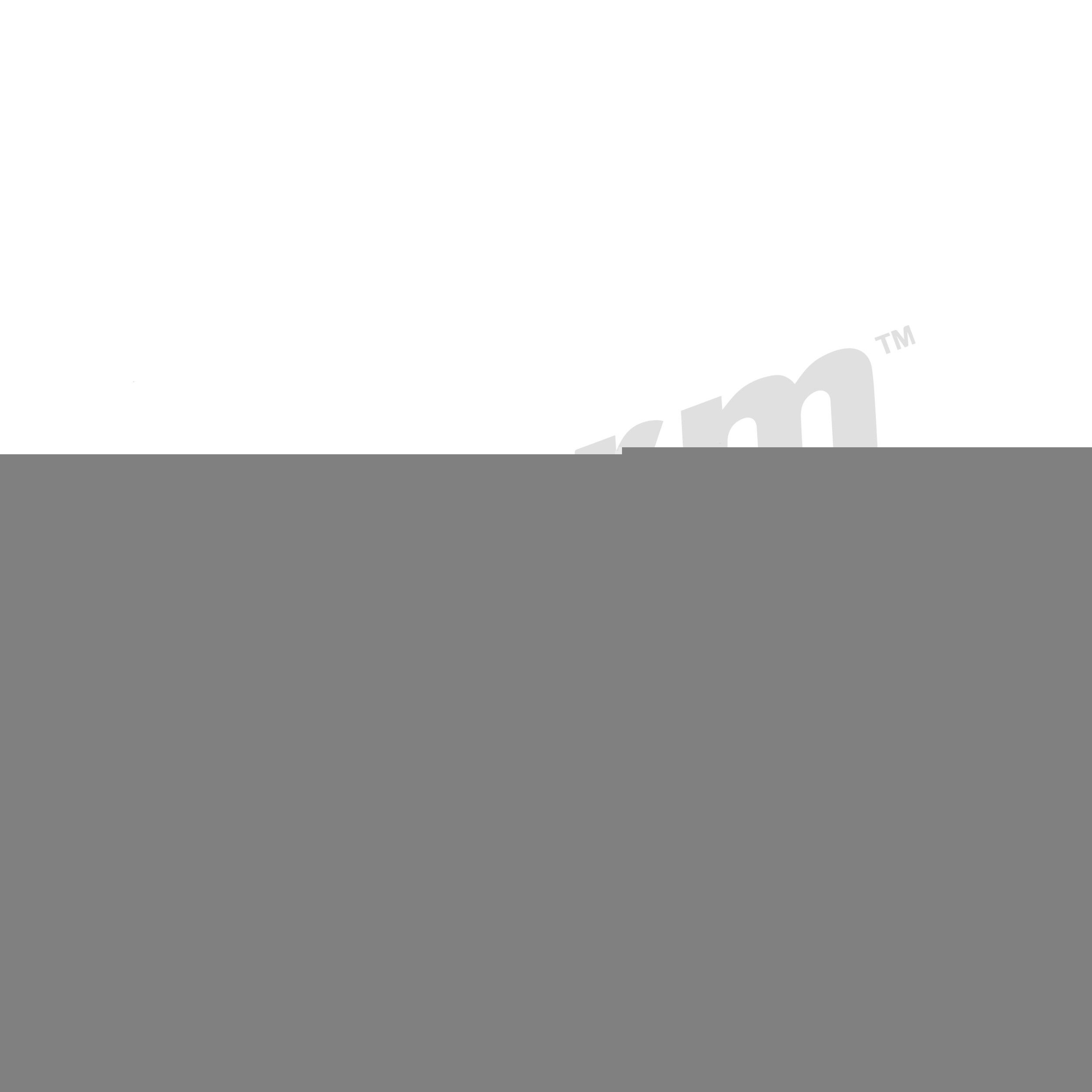 STORM QUALITY PARTS 46000000516 Kaitseseib, sissepritsesüsteem COMBO 1.6 D 75 HP Diisel