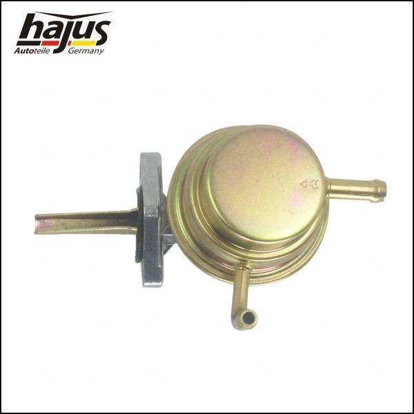hajus Autoteile Fuel pump Article number: 1271021 cheaply