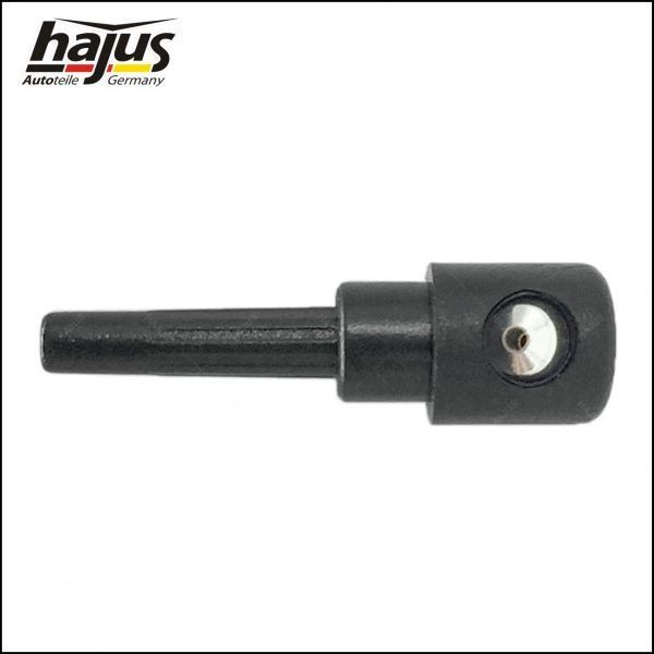 hajus Autoteile Spyledyse artikkelnummer: 9591113 billig