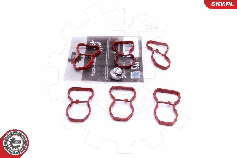 ESEN SKV Repair Kit, intake manifold module Article number: 49SKV520 cheaply