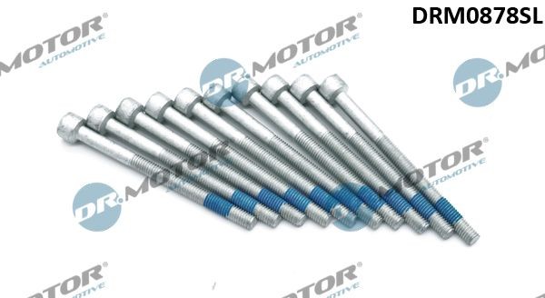 DR.MOTOR AUTOMOTIVE Screw, injection nozzle holder Article number: DRM0878SL cheaply