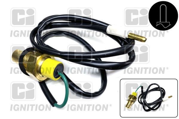 QUINTON HAZELL Sensor, oil temperature Article number: XTS19 cheaply