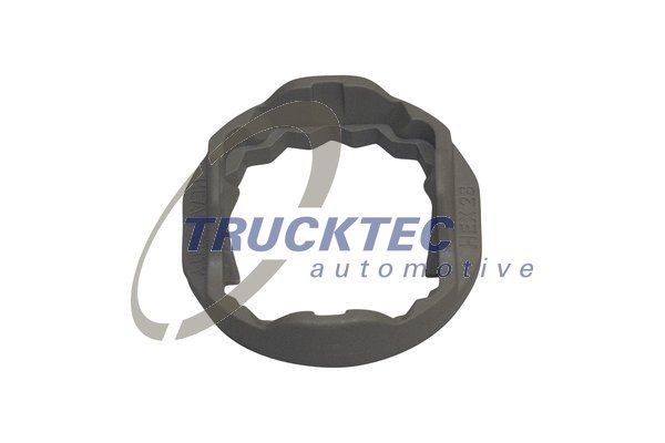 TRUCKTEC AUTOMOTIVE Locking Clip Article number: 01.36.132 cheaply