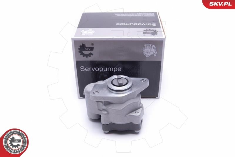 ESEN SKV Power steering pump Article number: 10SKV299 cheaply