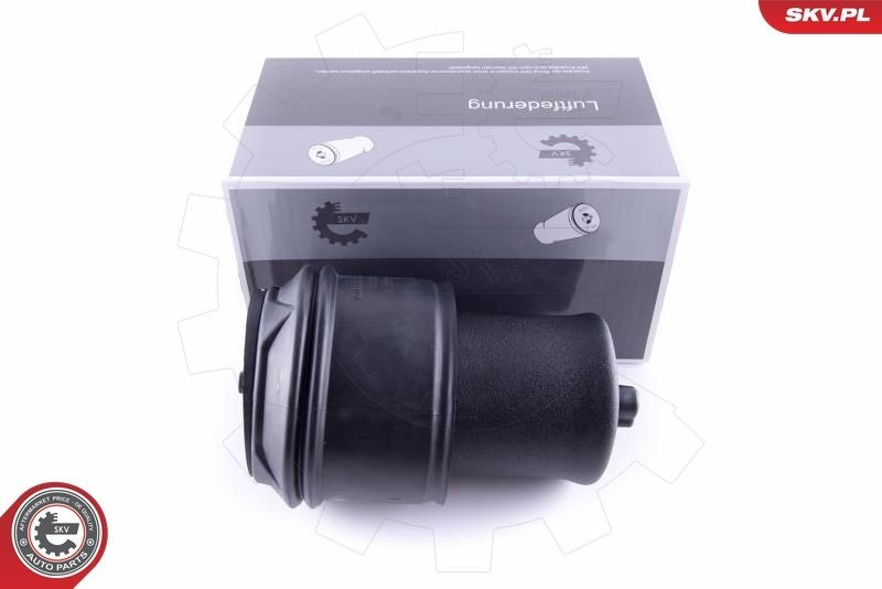 ESEN SKV 58SKV022 Õhkpadi JUMPY 2.0 i 140 HP Bensiin 2016