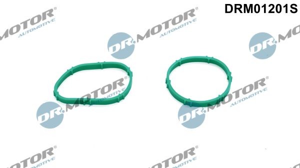 DR.MOTOR AUTOMOTIVE Gasket Set, intake manifold Article number: DRM01201S cheaply