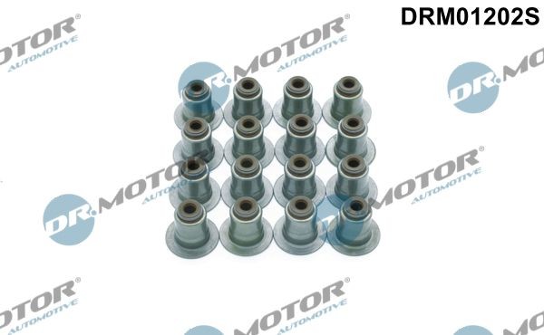 DR.MOTOR AUTOMOTIVE Seal Set, valve stem Article number: DRM01202S cheaply