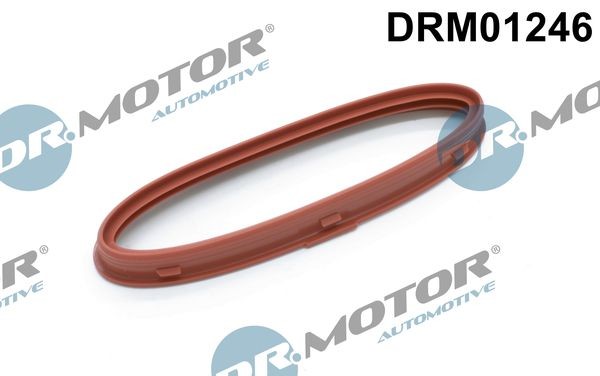 DR.MOTOR AUTOMOTIVE Rõngastihend, kompressor Artikli number: DRM01246 soodsalt