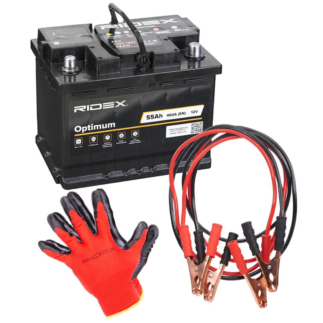 RIDEX Battery Article number: 1S0318 cheaply