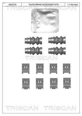 TRISCAN 8105 281601 Lisakomplekt, ketaspiduriklotsid DS4 PureTech 225 (FP5GGT) 224 HP Bensiin
