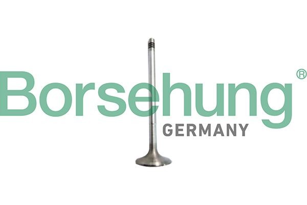 Borsehung Indsugningsventil Varenummer: B10327 billige