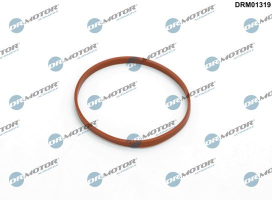 DR.MOTOR AUTOMOTIVE Seal, throttle body Article number: DRM01319 cheaply