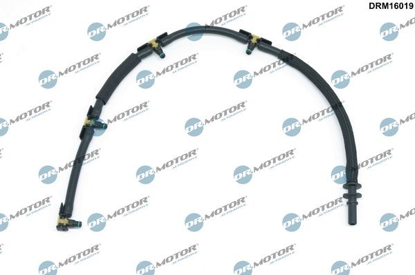 DR.MOTOR AUTOMOTIVE DRM16019 Voolik, Jääkkütus 308 1.6 HDi 99 HP Diisel 2021