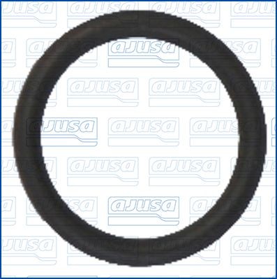 AJUSA Seal Ring, coolant tube Article number: 16006101 cheaply