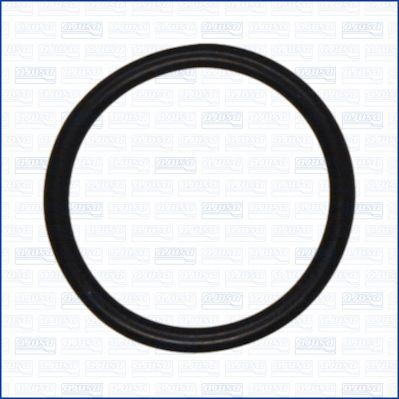 AJUSA Seal, coolant tube Article number: 16504100 cheaply