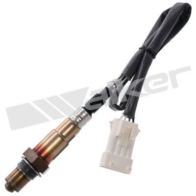 WALKER PRODUCTS Lambda andur Artikli number: 350-34303 soodsalt