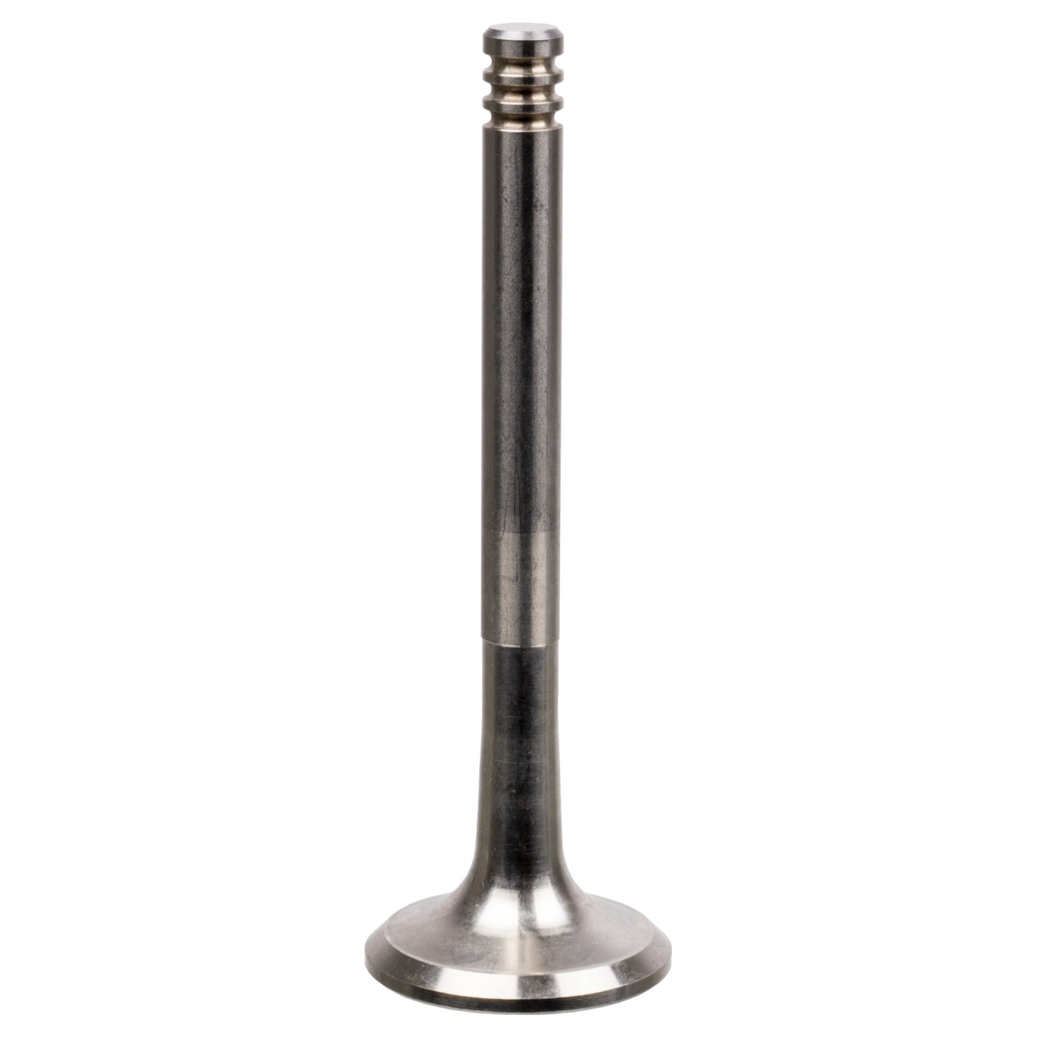 FEBI BILSTEIN Exhaust valve Article number: 19974 cheaply