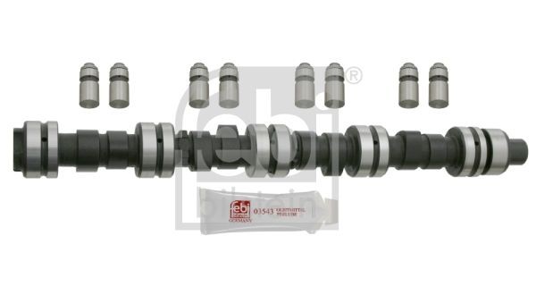 FEBI BILSTEIN Camshaft Kit Article number: 23994 cheaply