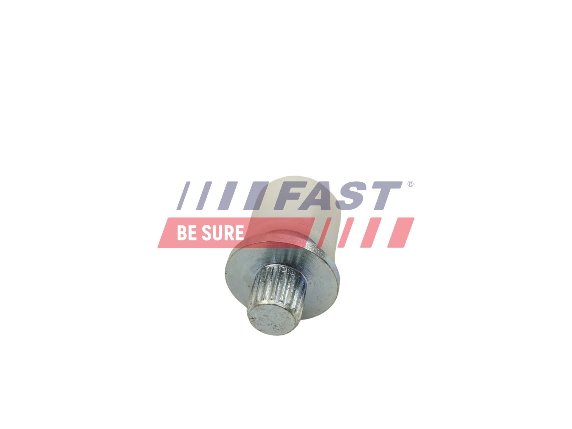FAST FT46637 Ball Stud, clutch control SCÉNIC 2.0 16V (JA1D, JA17) 140 PS Petrol 2003