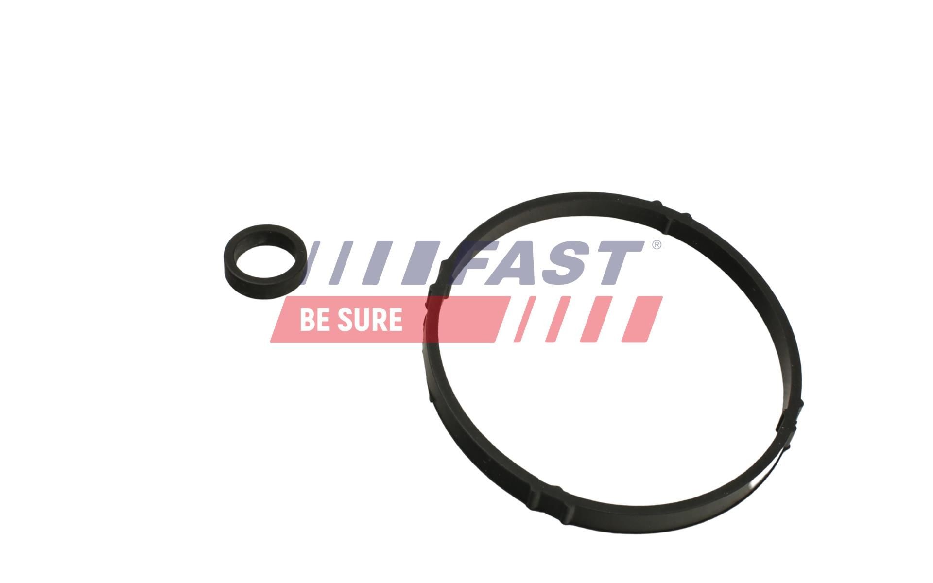 FAST Seal, turbo air hose Article number: FT48933 cheaply