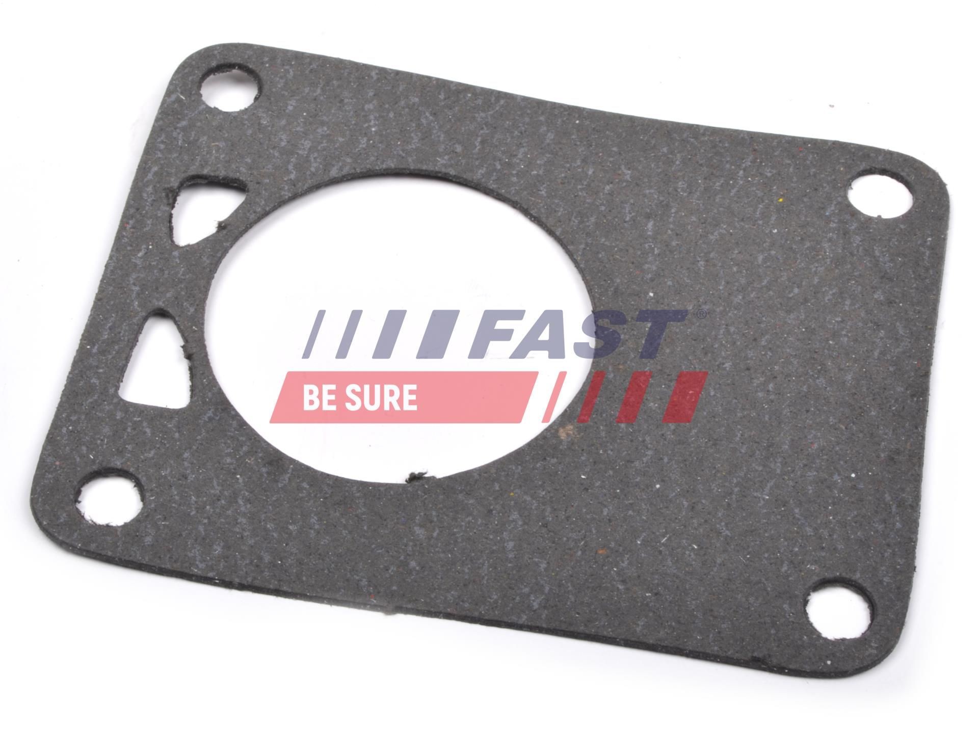 FAST Seal, coolant tube Article number: FT49918 cheaply