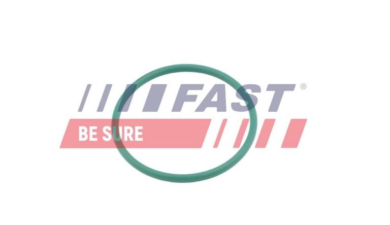 FAST Seal, turbo air hose Article number: FT49921 cheaply
