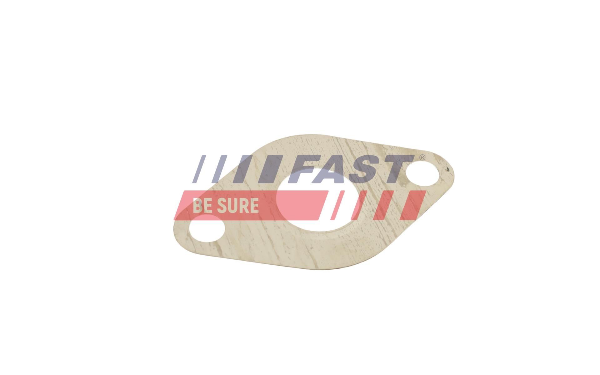 FAST Seal, EGR valve Article number: FT50604 cheaply