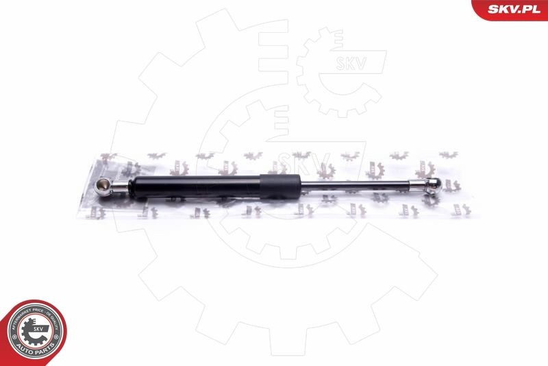 ESEN SKV Tailgate strut Article number: 52SKV650 cheaply