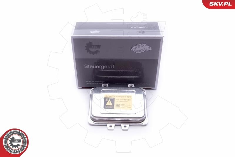 ESEN SKV Control Unit, lights Article number: 59SKV011 cheaply