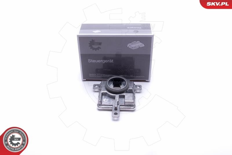 ESEN SKV Control Unit, lights Article number: 59SKV038 cheaply