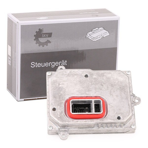 ESEN SKV Control Unit, lights Article number: 59SKV061 cheaply