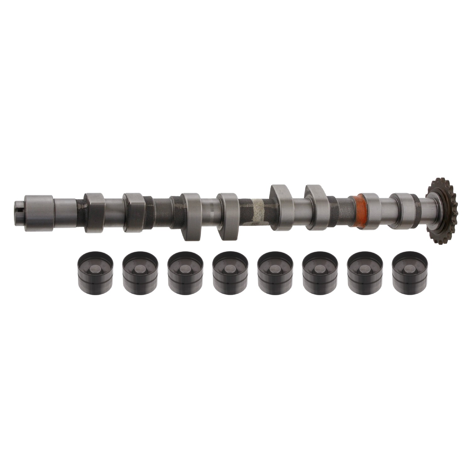 FEBI BILSTEIN Camshaft Kit Article number: 33199 cheaply