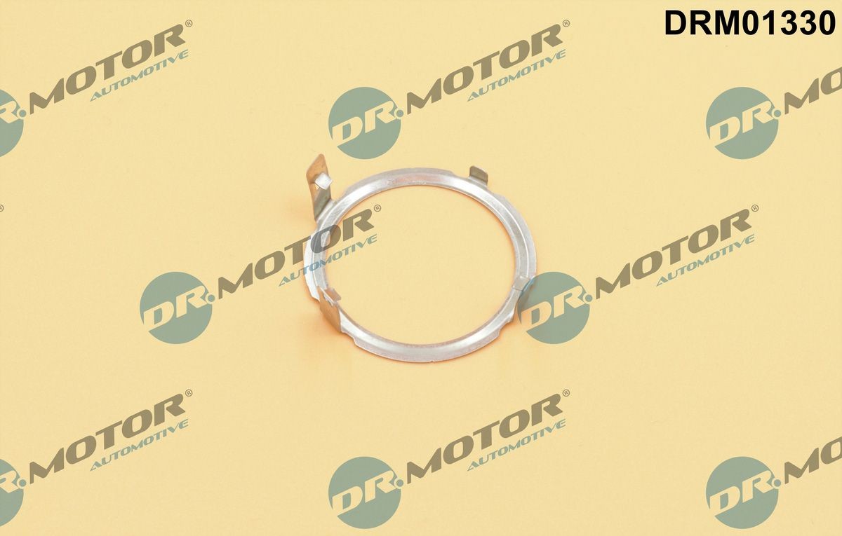 DR.MOTOR AUTOMOTIVE Seal, EGR valve Article number: DRM01330 cheaply