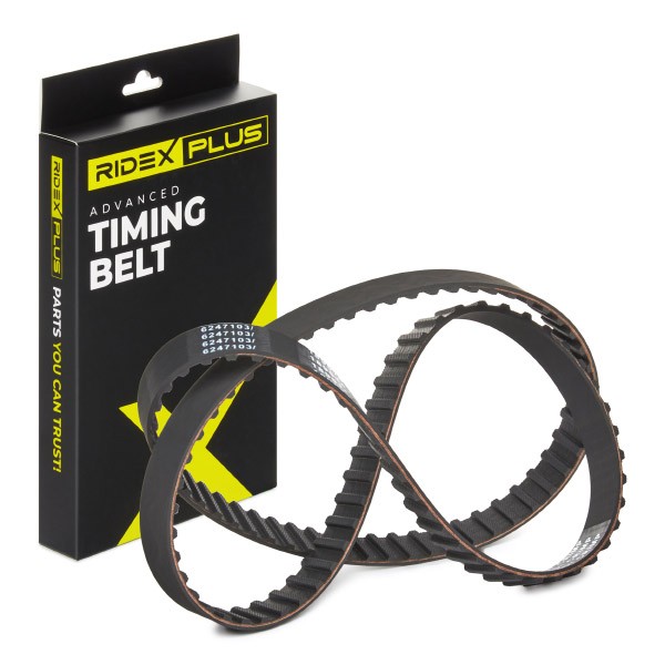 RIDEX PLUS Timing Belt Article number: 306T0331P cheaply